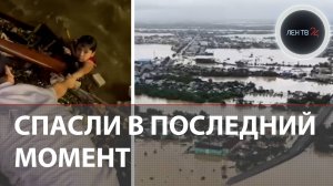 Случайные прохожие спасли мальчика | Наводнение, оползни и сели во Вьетнаме