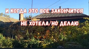 #117🏡Не хотела, но делаю/Покупки/Итоги лечения карталином/Обрезала виноград