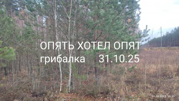 ОПЯТЬ ХОТЕЛ ОПЯТ, 🍄 г. Брянск, пос. Ковшовка, 31.10.25.