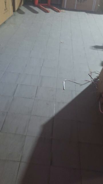 Отправка Гюрза М12 3шт. Хабаровск, Великий Новгород, Чита, т:89612934363 с 10.00 до 20.00 смотреть онлайн