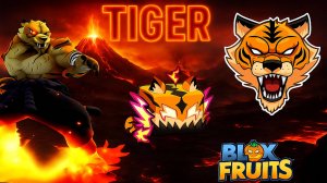 Фрукт ТИГР Полный обзр Блокс Фрукт