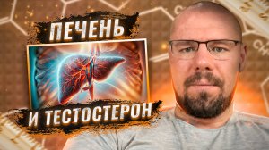 Печень и тестостерон - их связь, как проблемы с печенью влияют на дефицит тестостерона