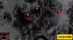 Украинские "командос" быстро обнулились