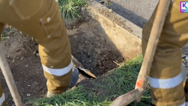 В сквере «Монетка» завершают установку системы автополива смотреть онлайн