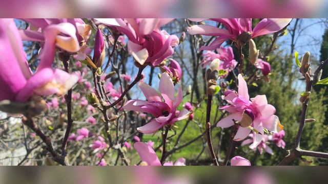 Смиряйся.Песня. смотреть онлайн