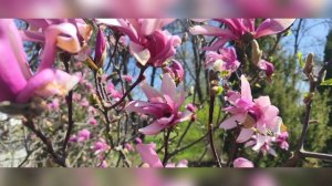 Смиряйся.Песня.