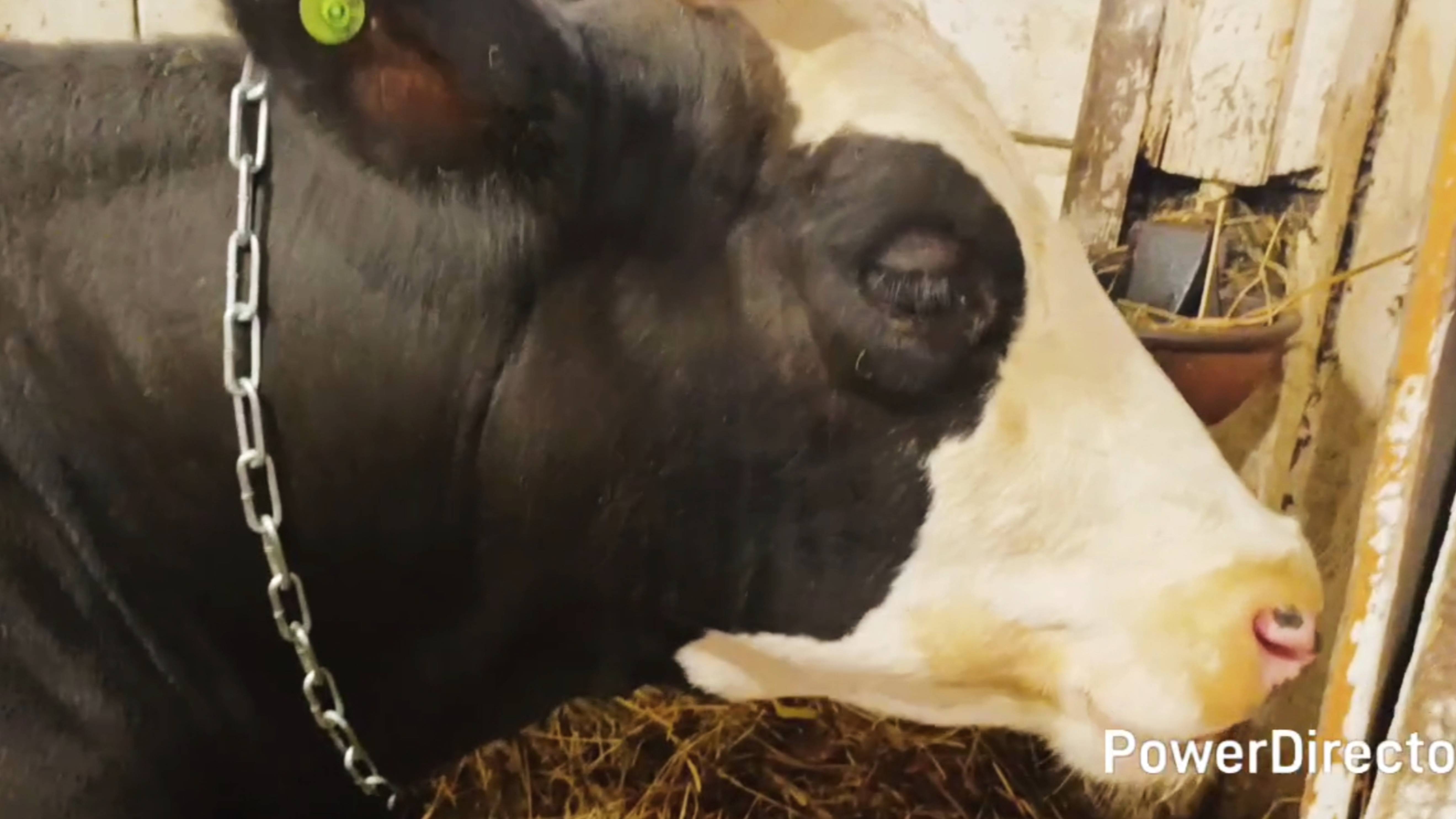 На свой страх и риск, отпустила Сашу в город 😱