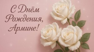 С Днём рождения, Армине!