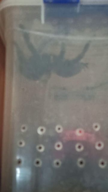 Машка утром по потолку ходила...30 октября 2025 г. смотреть онлайн