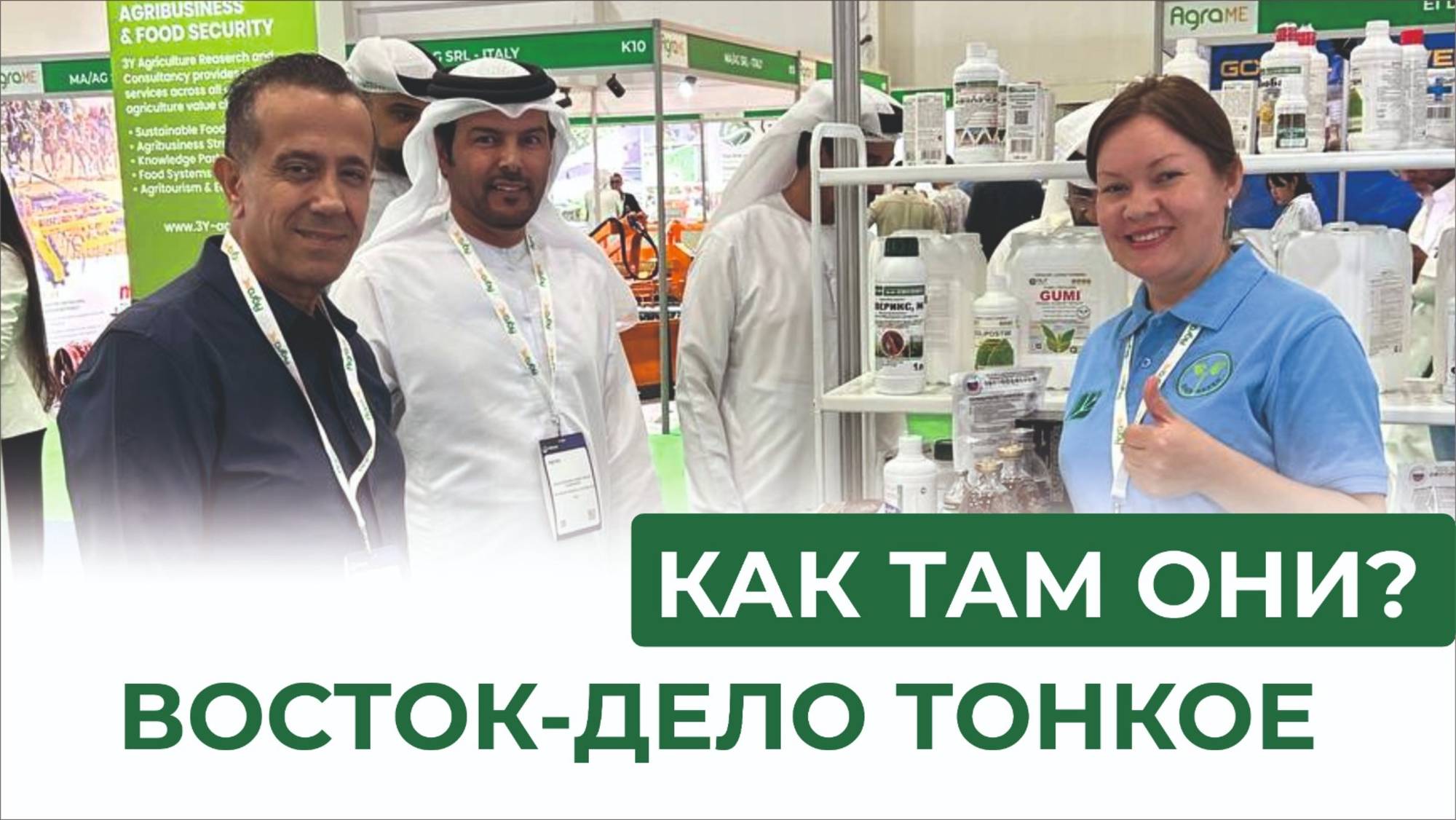 Выбор, который определяет будущий путь. Дубай, пустыня, БашИнком смотреть онлайн