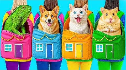 Строим Домики для Животных C Candy DO