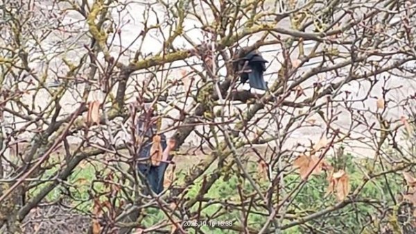 Поделись со мной 😀😀😀