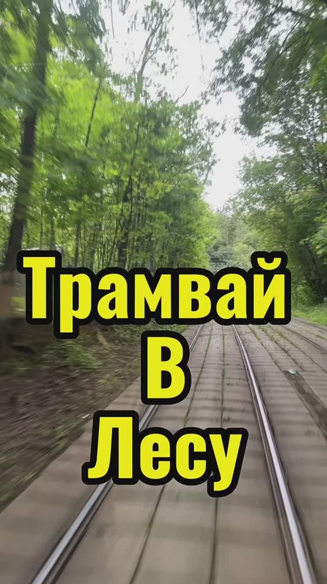 Маршрут прям в лесу смотреть онлайн