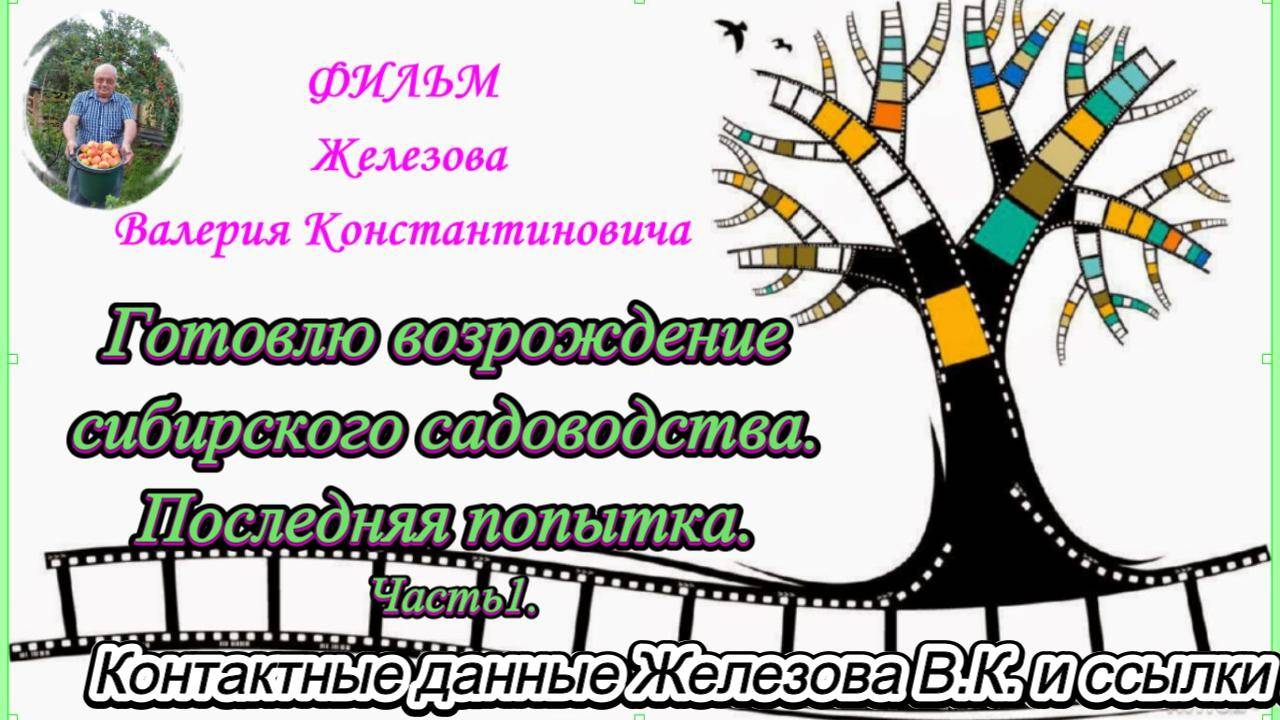 Готовлю возрождение сибирского садоводства. Последняя попытка. Часть1. смотреть онлайн