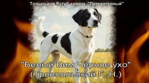 Белый Бим Чёрное ухо
