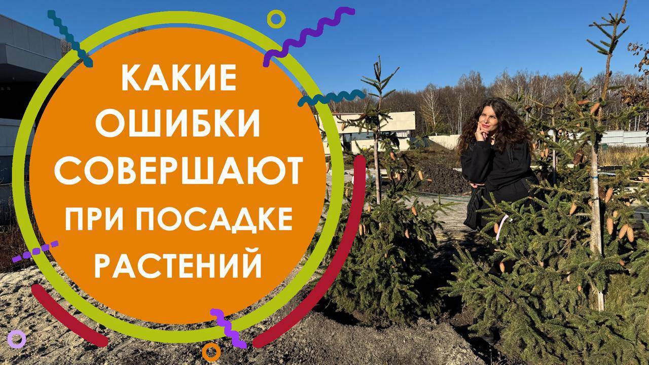 Какие ошибки совершают при посадке растений
