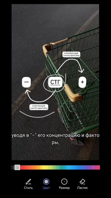 стимулируем жир0сжигающий гормон🔥