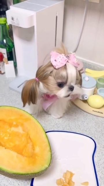 Кормим свою принцессу