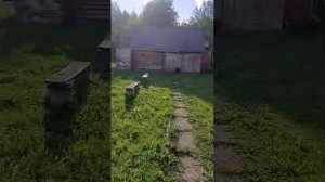 Обзор участка