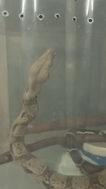 Обстановочка...Вечер 30 октября 2025 г. смотреть онлайн