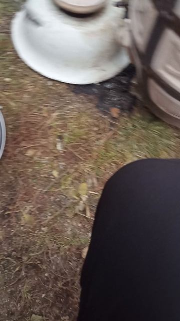 крылышки в тандыре