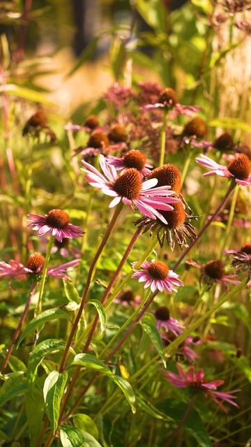 Осень в Verba Mayr смотреть онлайн