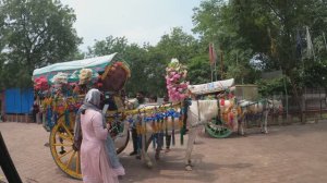 Индия, Дели