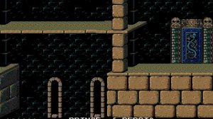 Prince of Persia (US) (1991) [PC Engine CD]