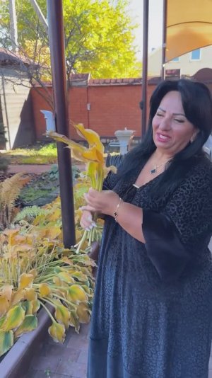 ОСЕННИЙ УРОЖАЙ АРУСИ КАВКАЗ!