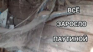 Нашли заначку в старом погребе, выкинули весь хлам. Как это было 3 серия.