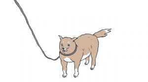 ШКЯ – Что делать, если ты пёс.