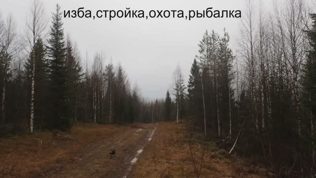 изба, стройка, охота, рыбалка смотреть онлайн