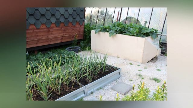 Любимый сад продан смотреть онлайн