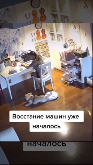 Восстание машин началось