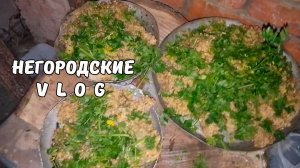 НУТРИИ: ужин как в ресторане! 29.10.25