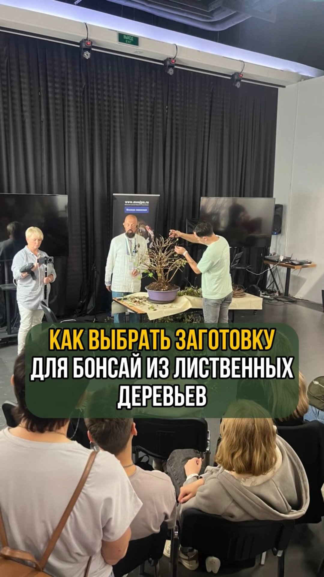 Как выбрать заготовку для бонсай из лиственных деревьев? смотреть онлайн