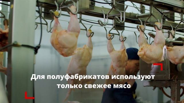 ПТИЦЕФАБРИКА