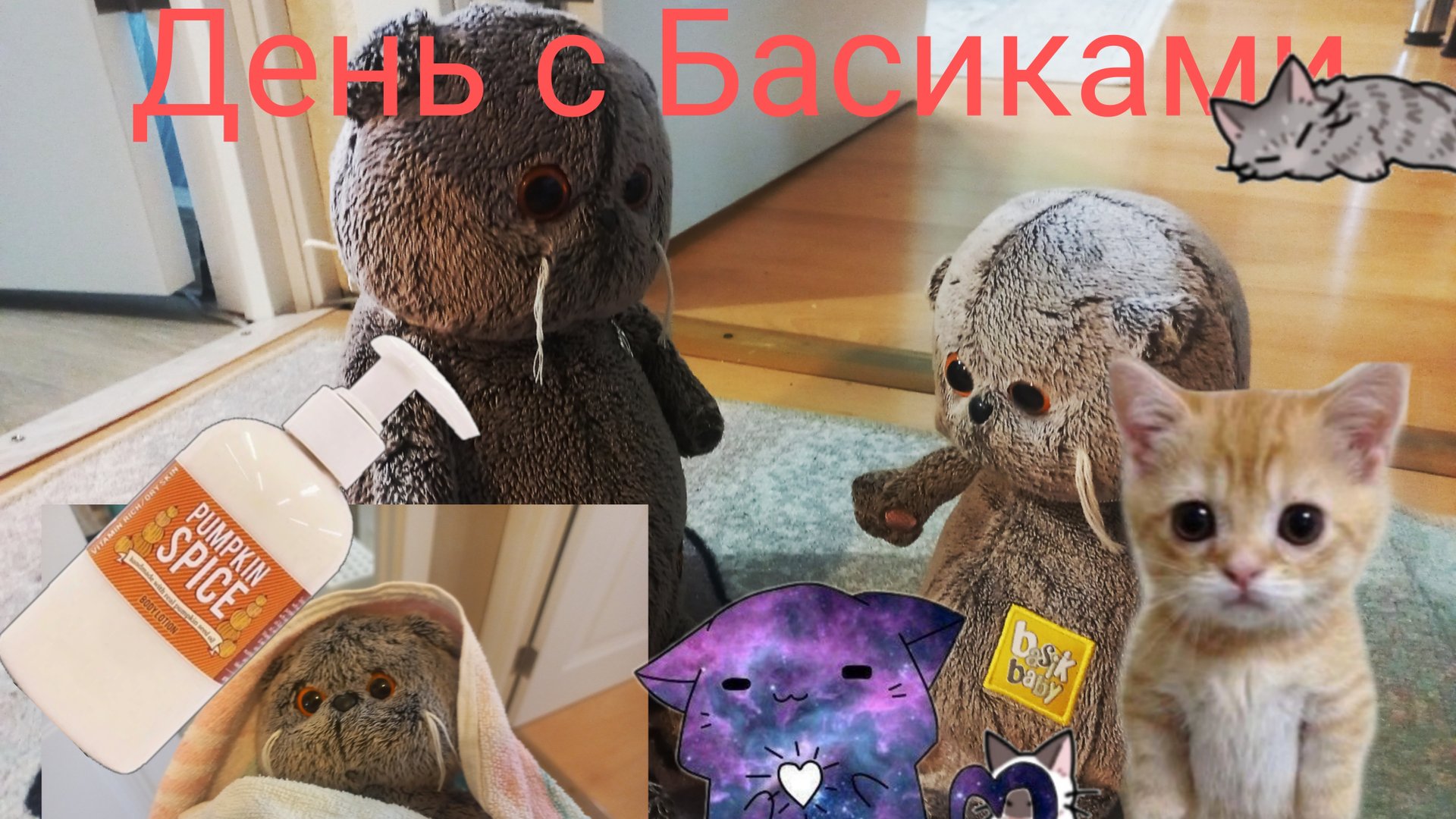 День с Басиками Миша моется💖💖💗💓💓💟💕❣️ смотреть онлайн