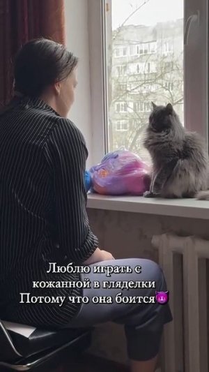 играть с кожаной в гляделки #shorts