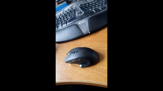 Новый проект 4