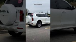 Tank 500 какие колёса ставят в Китае