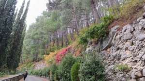 14) На зиму в Абхазию -4. Дорога до дачи Сталина