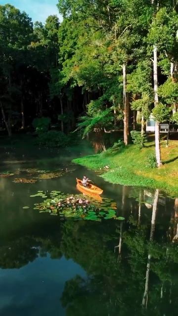 Ранча Упас, Западная Ява, Индонезия смотреть онлайн