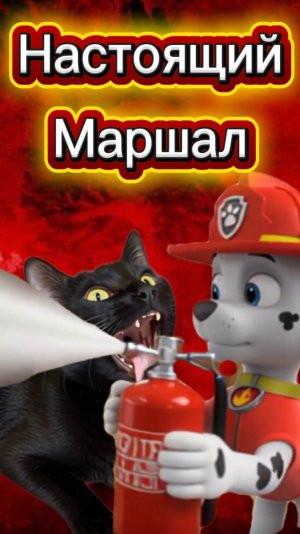 ЗАЧЕМ ОН ЭТО ДЕЛАЕТ? 🙀 #кот #кошка #животные #щенячийпатруль