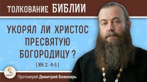 Укорял ли Христос Пресвятую Богородицу ? (Ин. 2:4-5)  Протоиерей Димитрий Беженарь