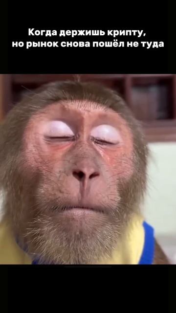 Когда держишь крипту, но рынок снова пошёл не туда