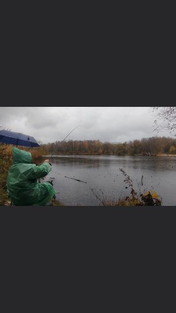 ИГРА ФИДЕРОМ ОТ СЕНСЕЯ смотреть онлайн