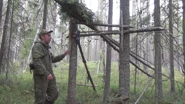 Охота на куницу капканами / Заряжаю малый путик смотреть онлайн