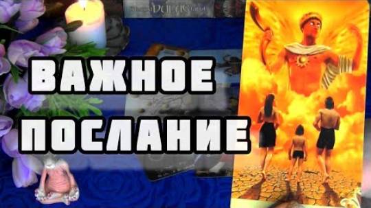 🔮Какая судьба вам дана? вселенная о вас и для вас сегодня!🍁🍀