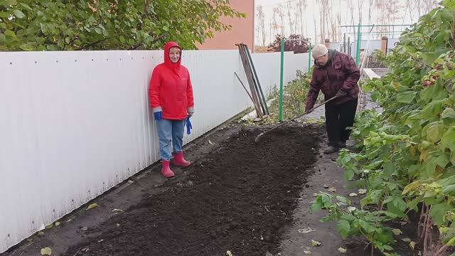 139. Голубика в мешках. Посадили малину.